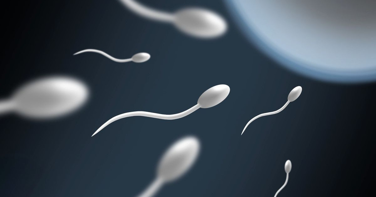 sperm-in-space.jpg