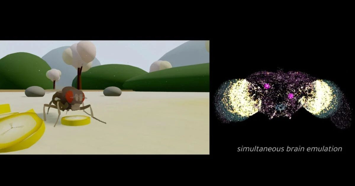 ai-simulated-brain.jpg