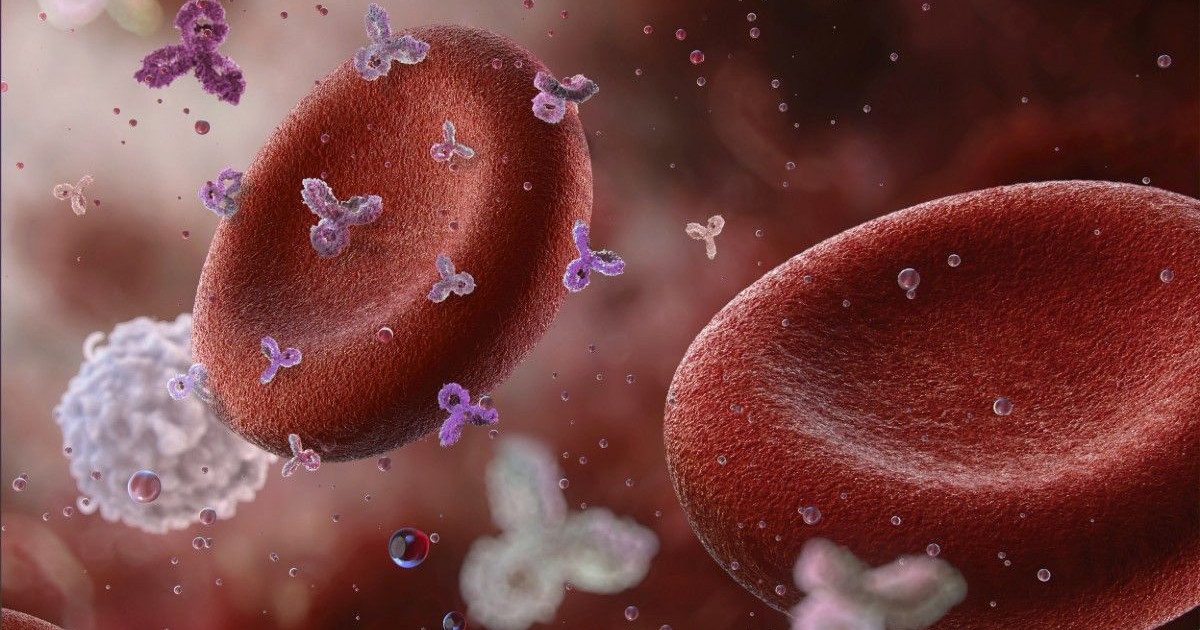 car-t-auto-immune.jpg