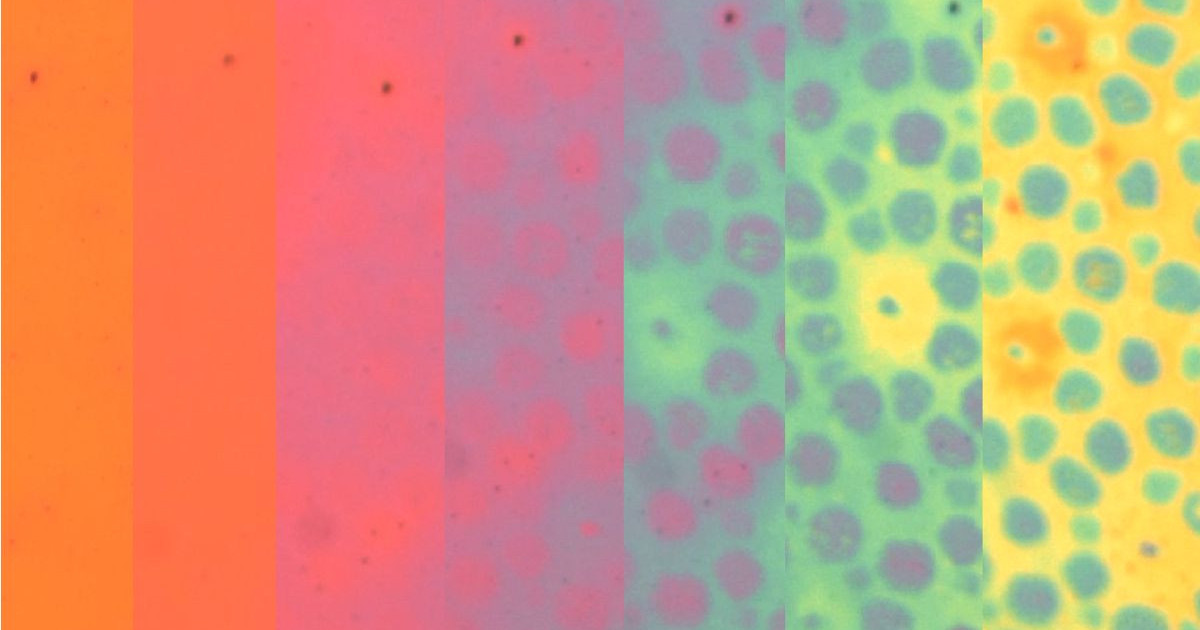stanford-synthetic-material-octopus.jpg