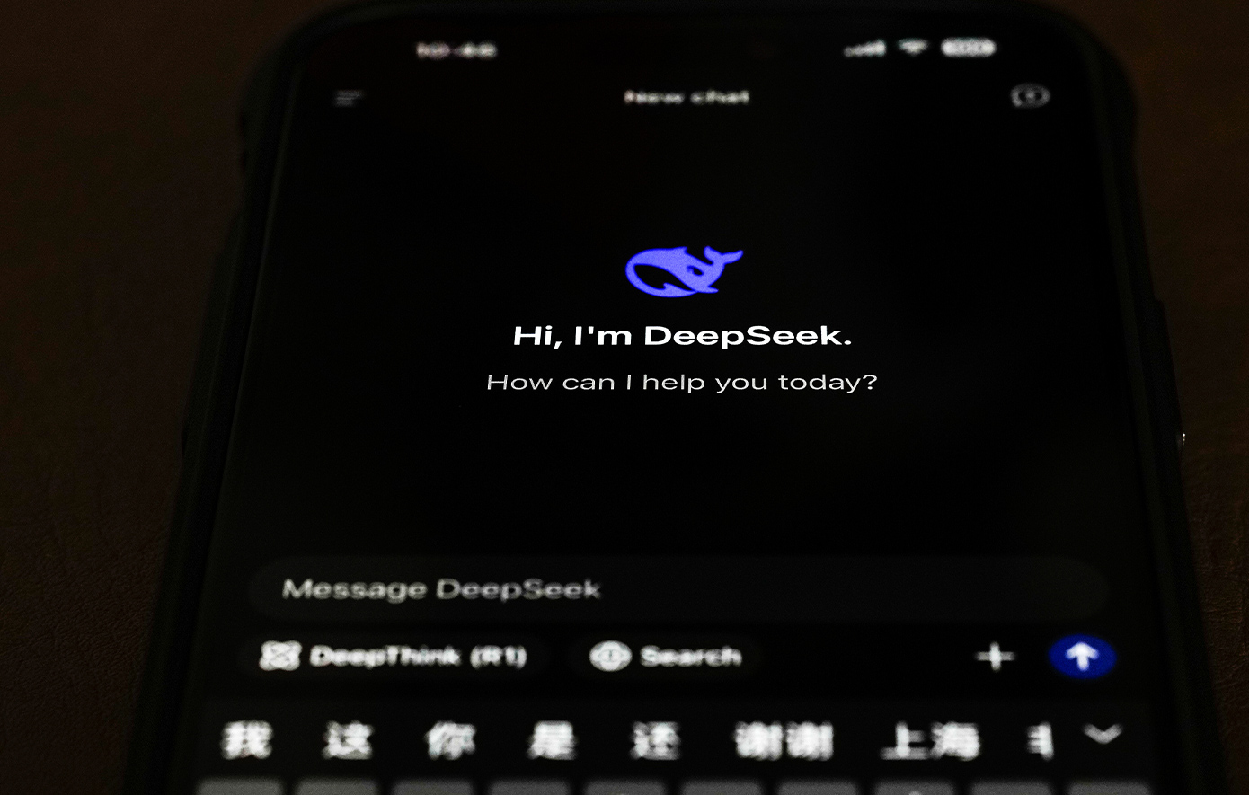 Deepseek Deepseek