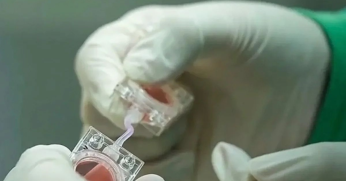 china-embryos-space.jpg