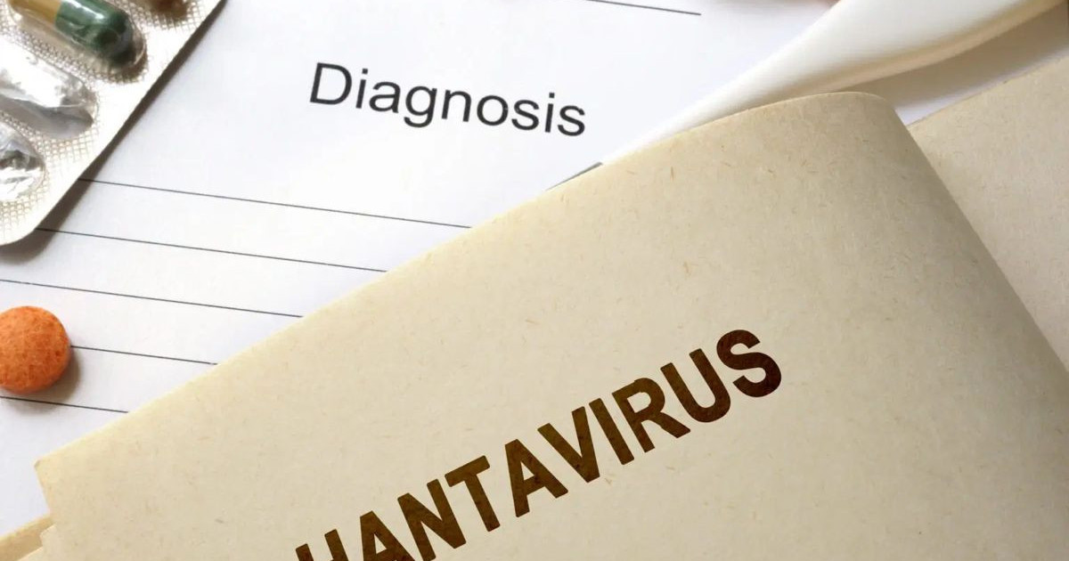 hantavirus.jpg