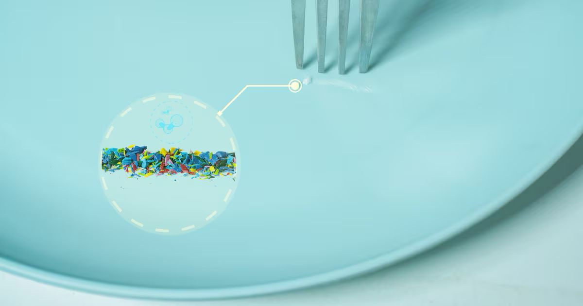 kimchi-microplastics.jpg