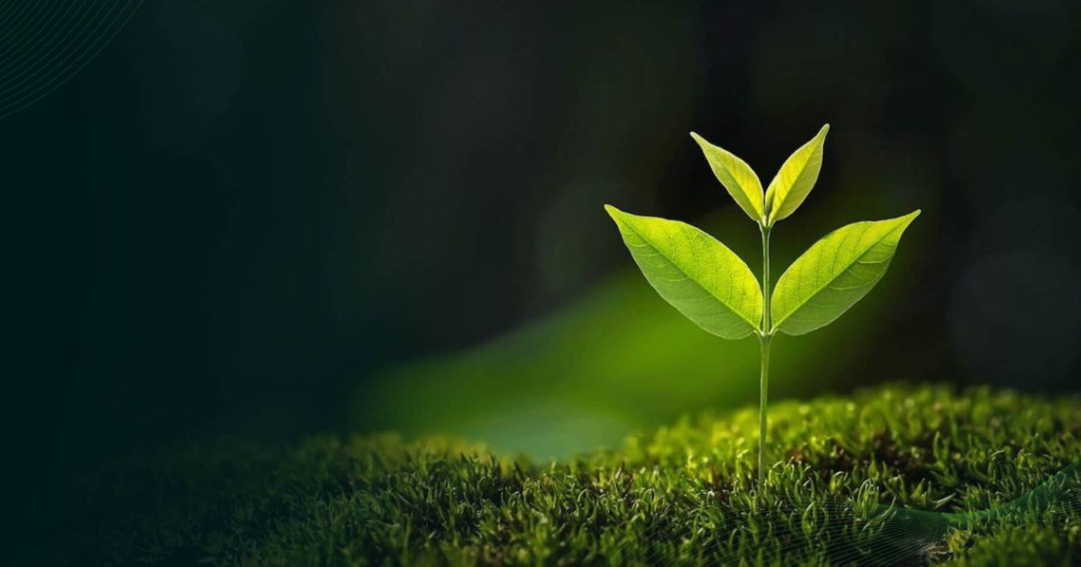 green-earth.jpg