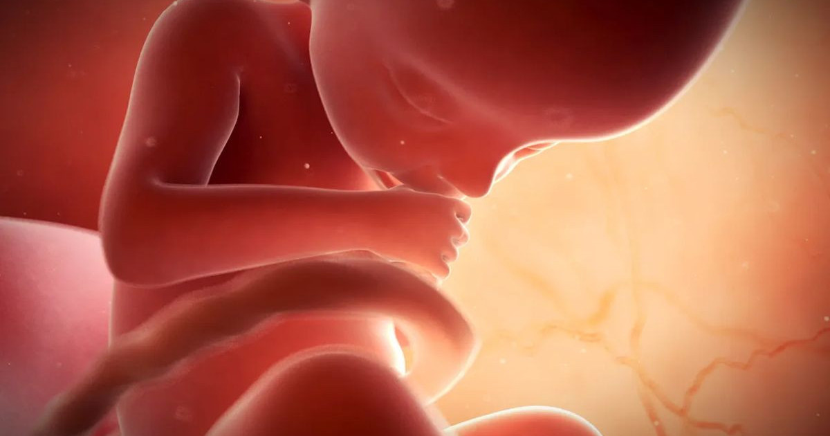 human-embryo-lab.jpg