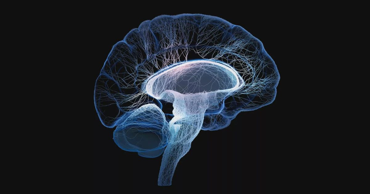 brain-fog.jpg