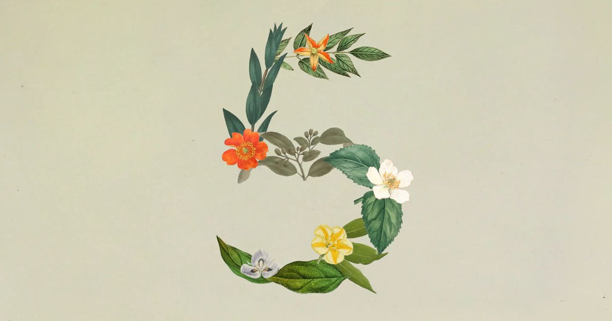 claude-sonnet-5.jpg