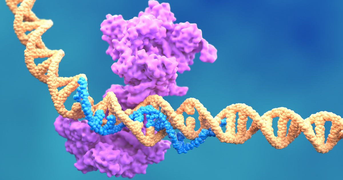 crispr-prostate.jpg
