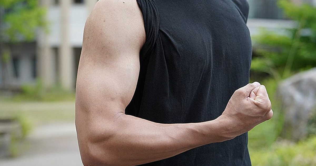 muscle-compound.jpg