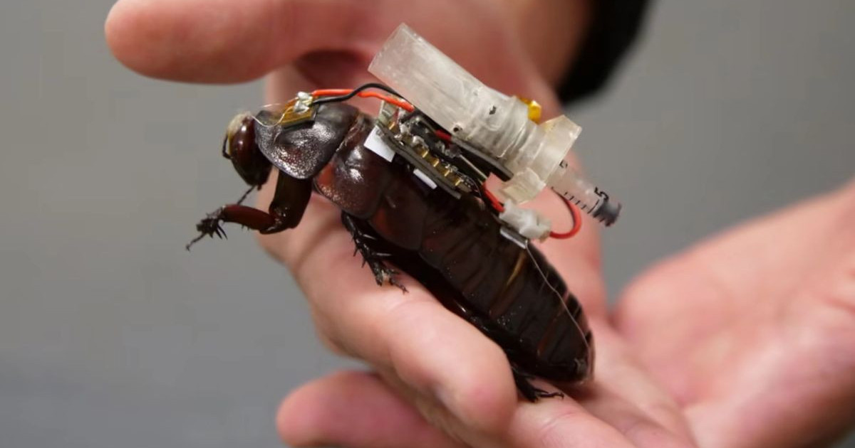 cyborg-cockroach.jpg