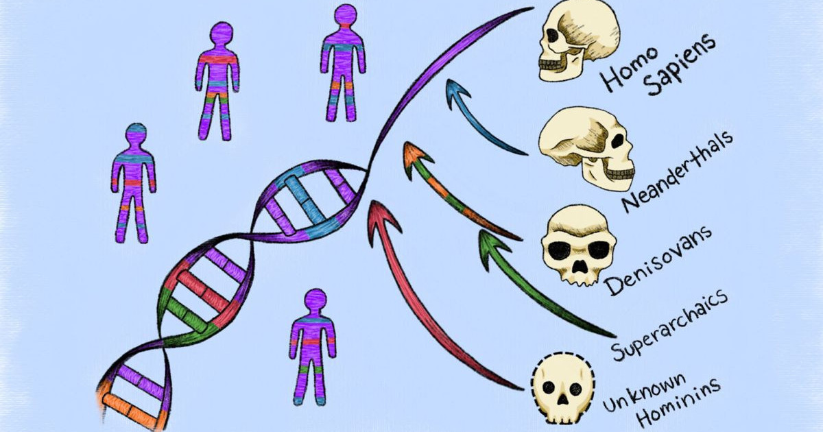 human-dna-inheritage.jpg