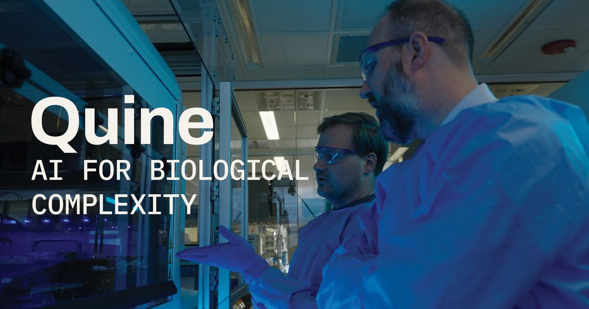 microsoft-project-quine-1.jpg