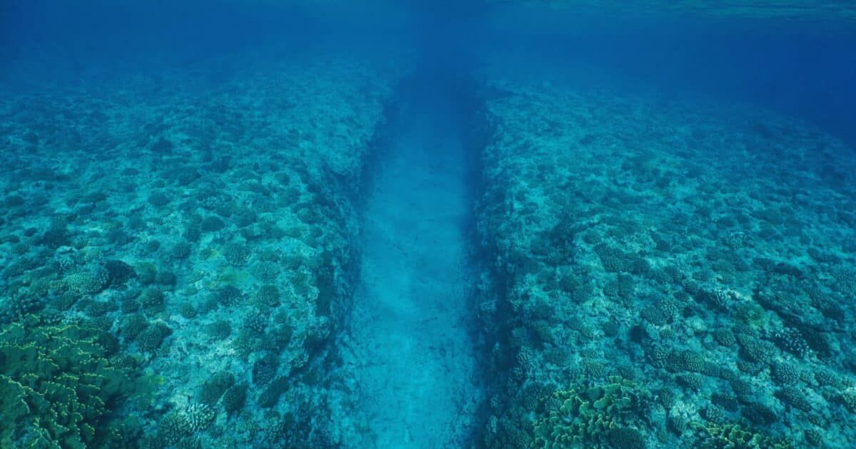 ocean-split.jpg