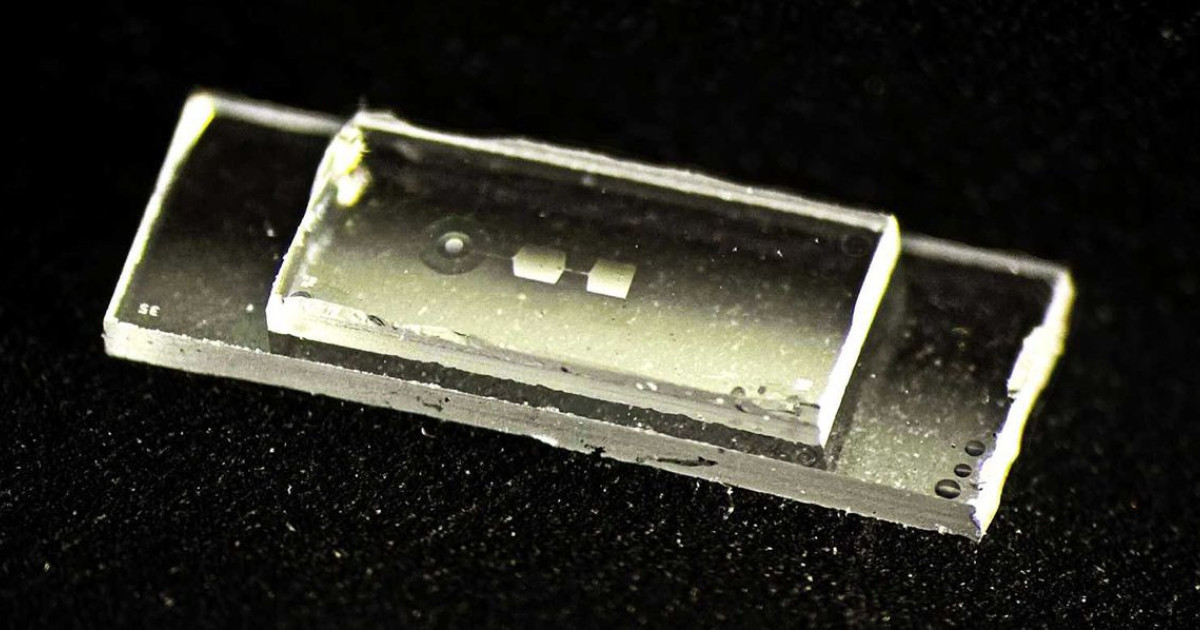 quantum-chip-eth.jpg