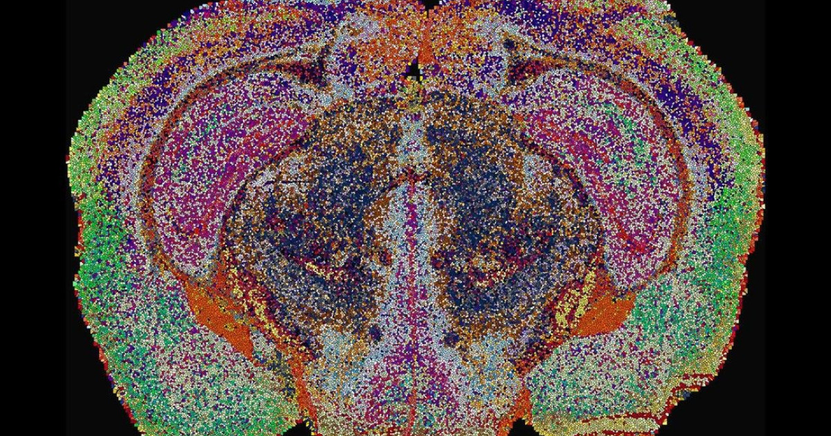 first-map-of-lipids.jpg