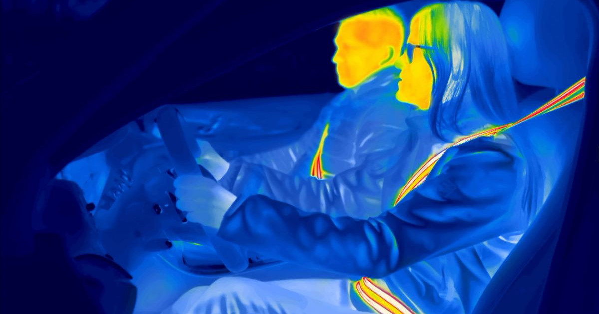 zf-lifetec-infrared-belt.jpg